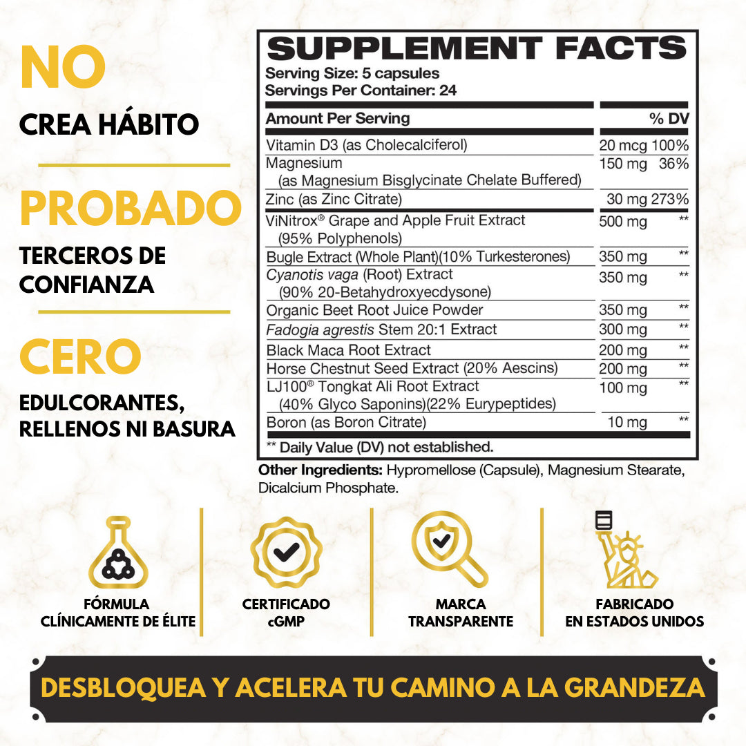 King Maker™ – Porque no viniste a sobrevivir, viniste a dominar